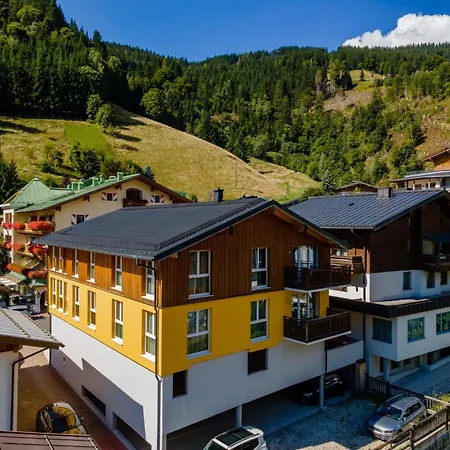 Apartman Emma 4 Dienten am Hochkönig