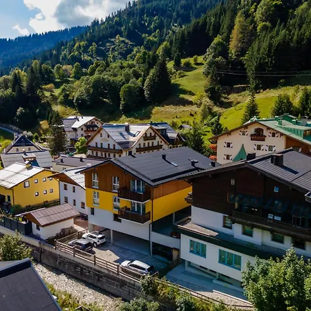 Apartman Emma 4 Dienten am Hochkönig