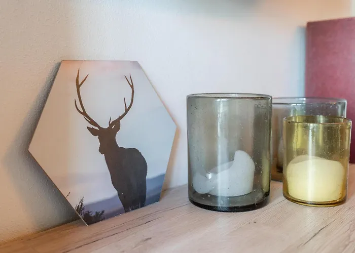 Apartament Emma 4 Dienten am Hochkönig